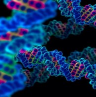Thám Tử Quảng Trị: Thảm tử Giám định ADN