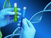 Chemist hands holding test tubes, DNA helix model background